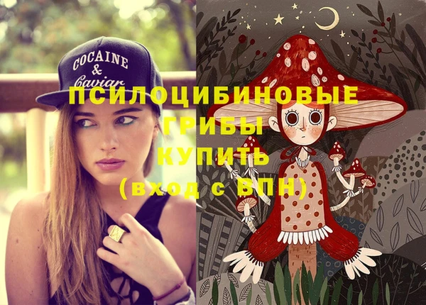 герыч Кинешма