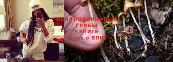 не бодяженный Киренск