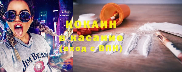 дмт Касимов