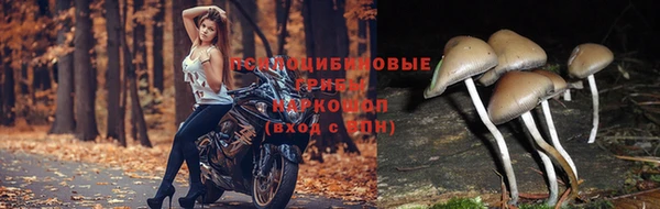 хмурый Карталы