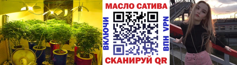 как найти   Могоча  Дистиллят ТГК THC oil 